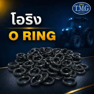 โอริง Oring