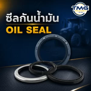 ซีลกันน้ำมัน Oil Seal