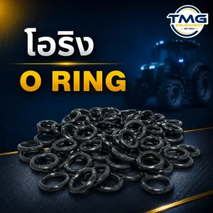 โอริง Oring