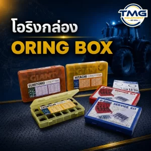 โอริงกล่อง Oring Box